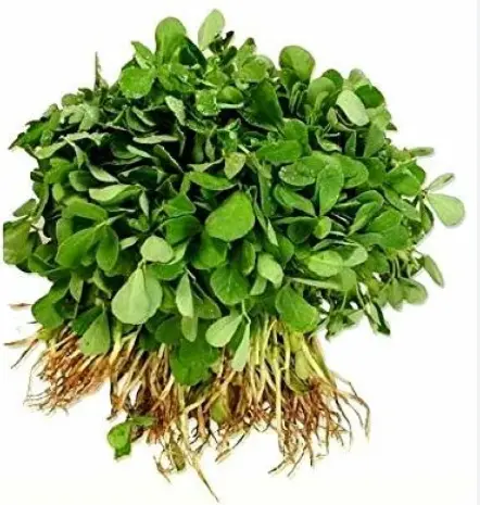 मेथी (Methi) गड्डी