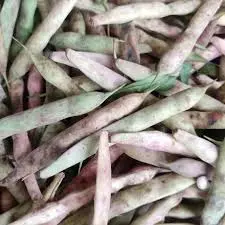राजमा (Rajma)