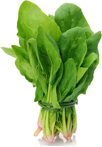 Palak ( पालक) गड्डी